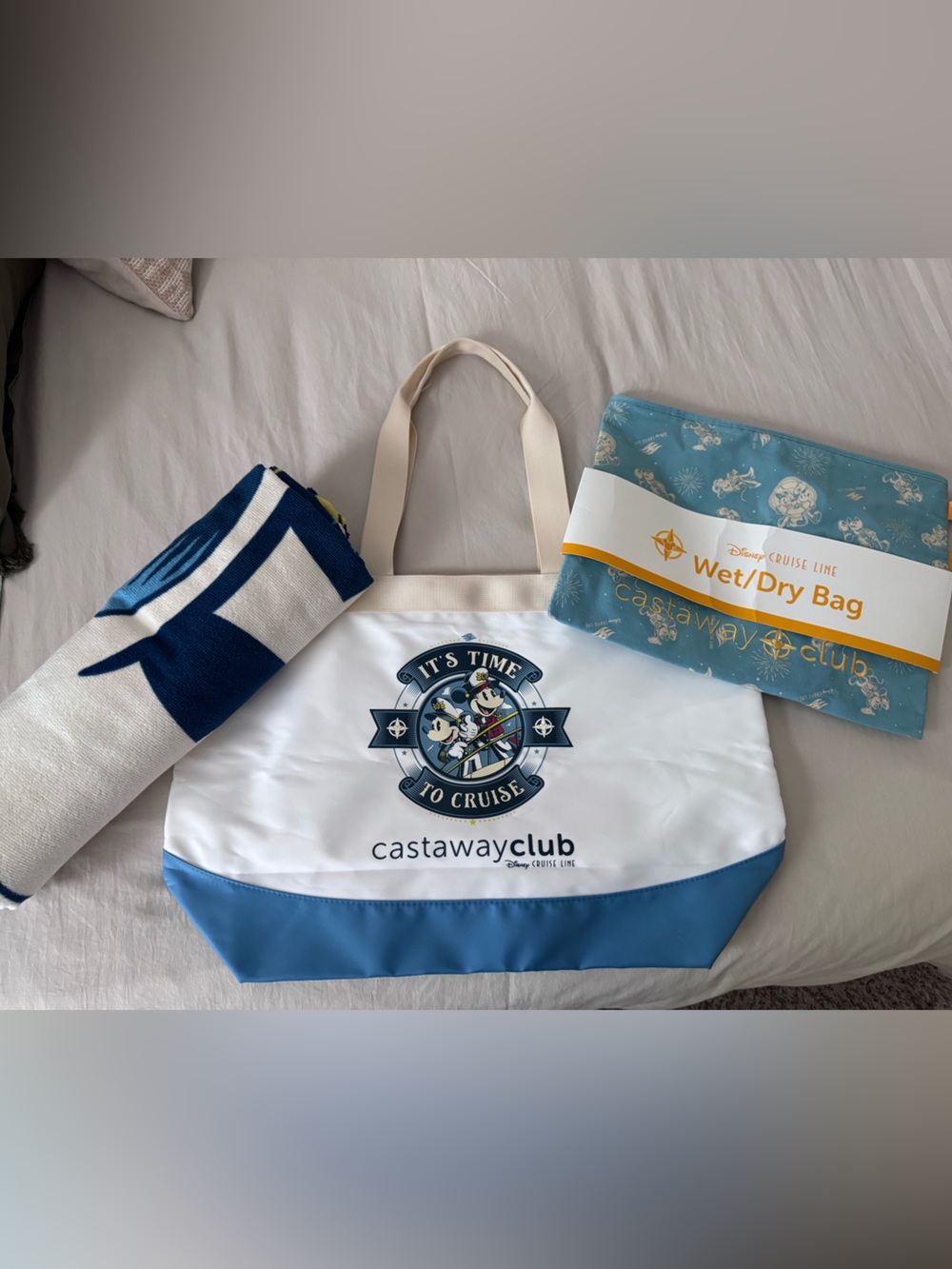 DCL Disney Tote, Beach Towel and Wet/Dry Bag (NWT)
